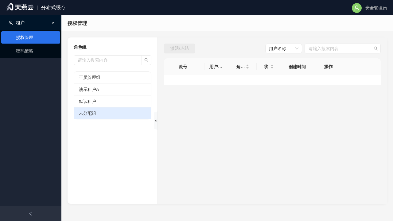 安全管理员 - 授权管理主页