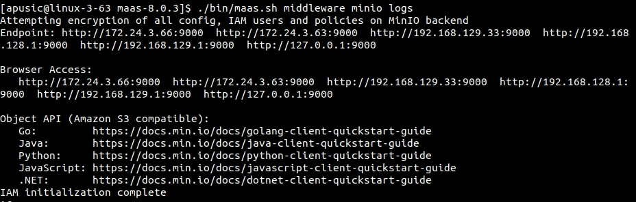 minio-logs.png