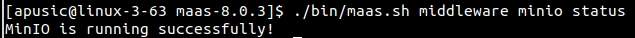 minio-status.png