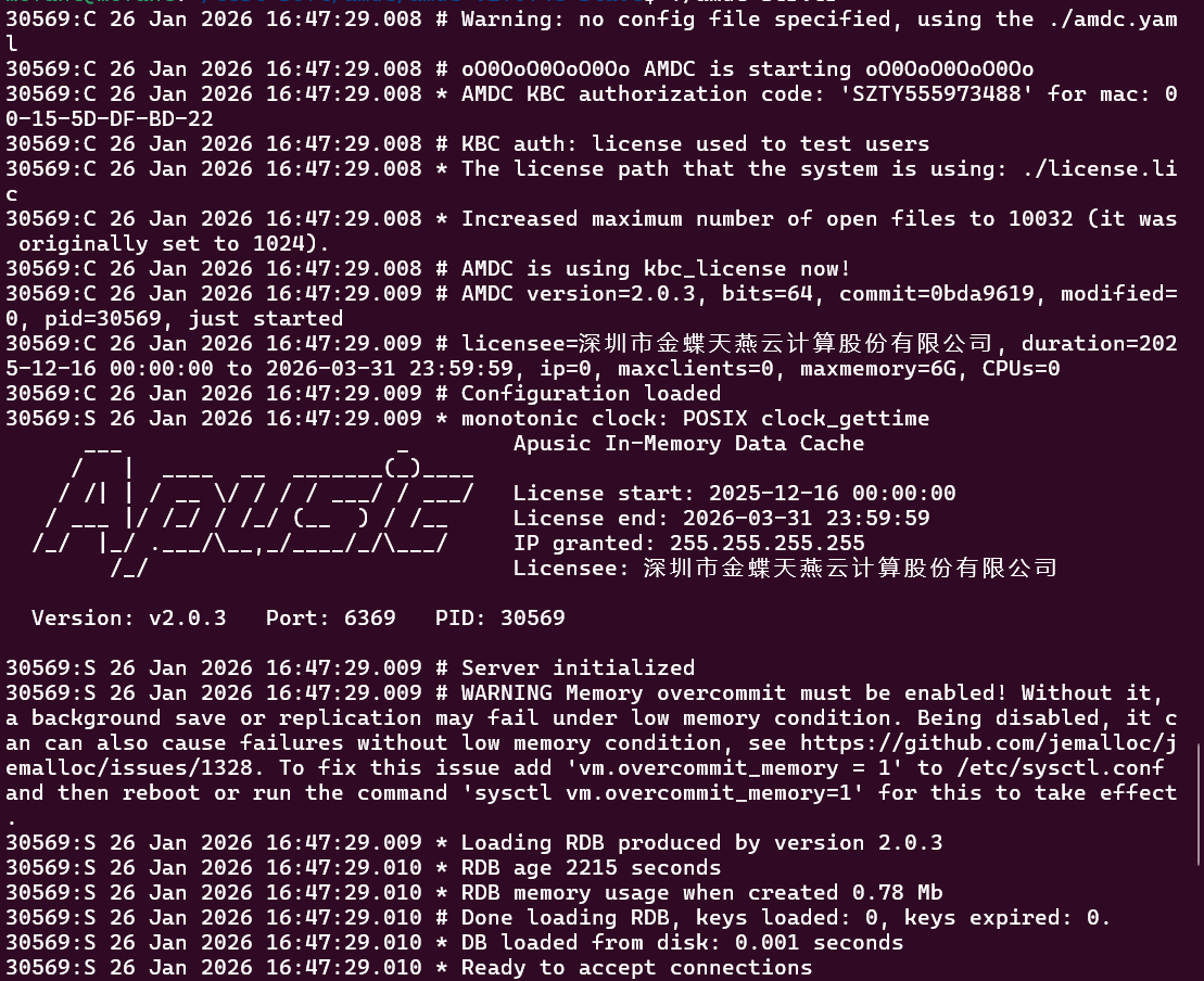 start server